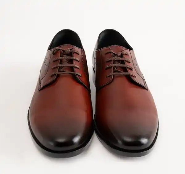 The Elegant Derby
